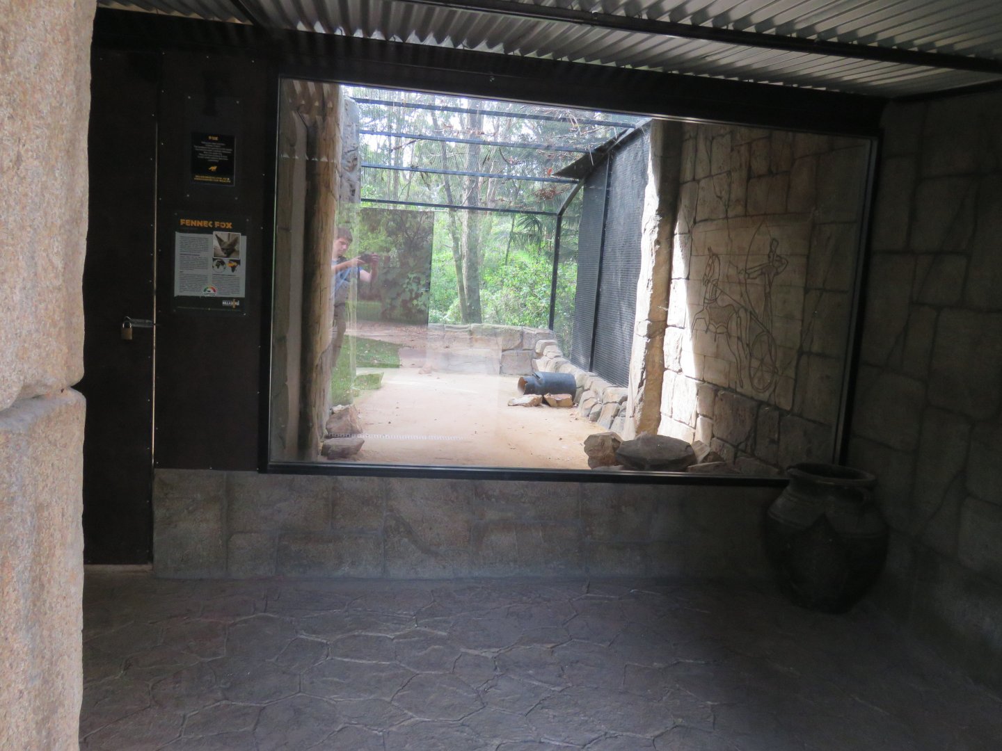 Secondary Fennec Fox Exhibit