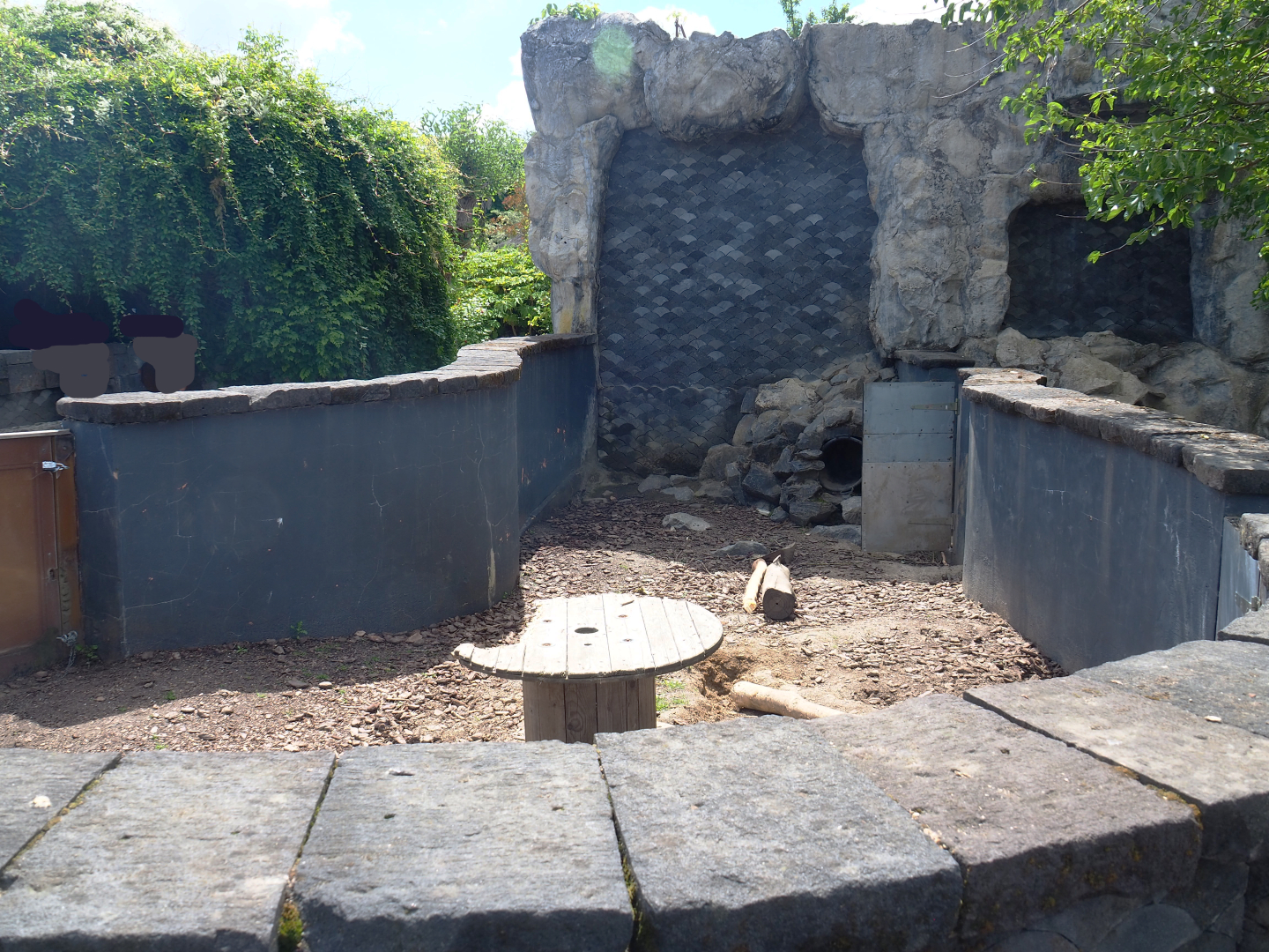 Secondary Indian crested porcupine exhibit, former wombat exhibit, 2022-06-28