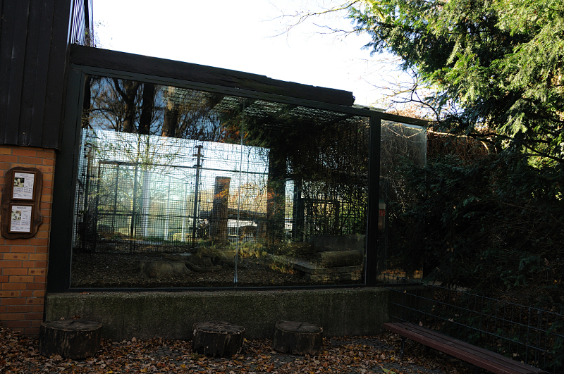 Secondary tiger enclosure at Dortmund