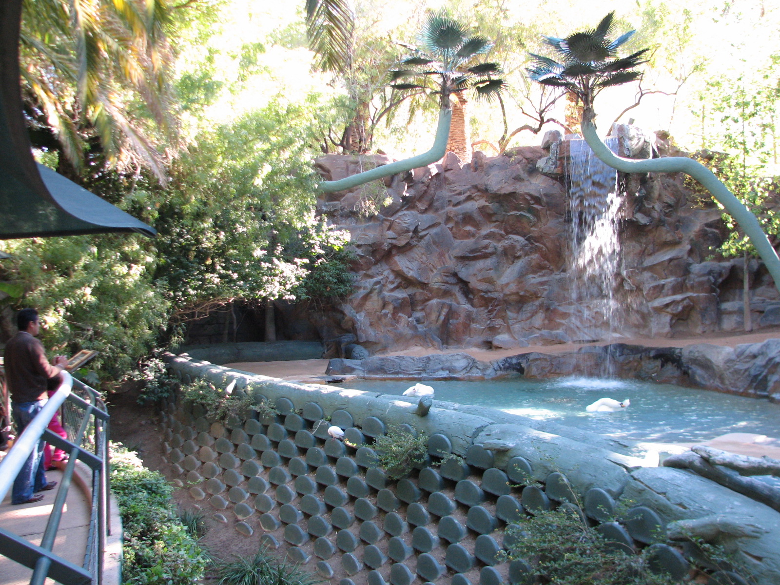 Secret Garden - Alpaca Exhibit