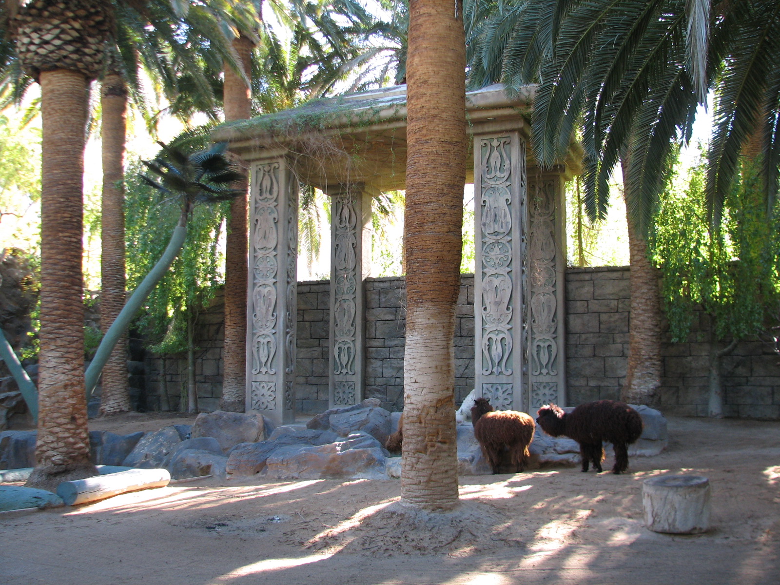 Secret Garden - Alpaca Exhibit