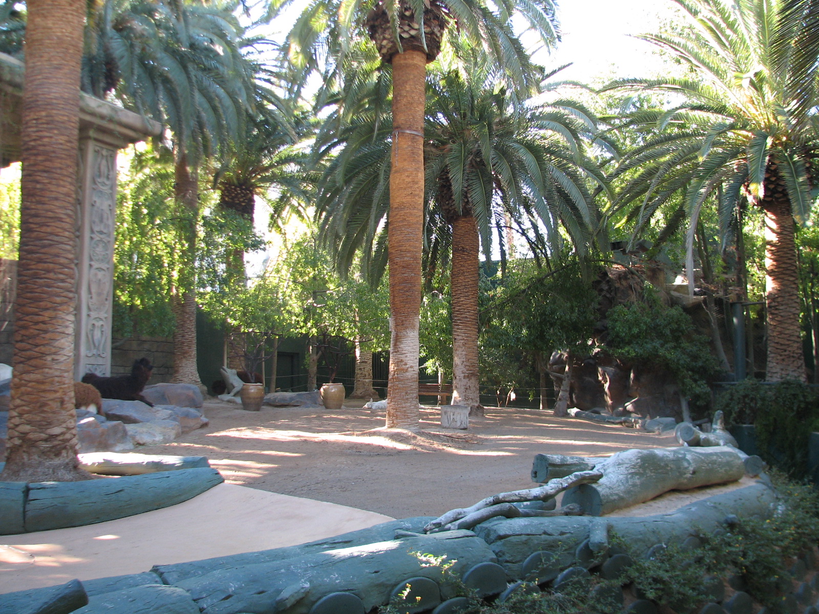 Secret Garden - Alpaca Exhibit