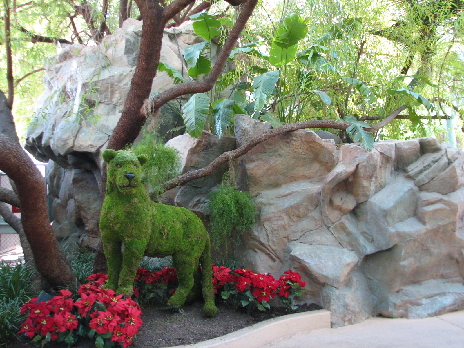 Secret Garden - Entrance Area