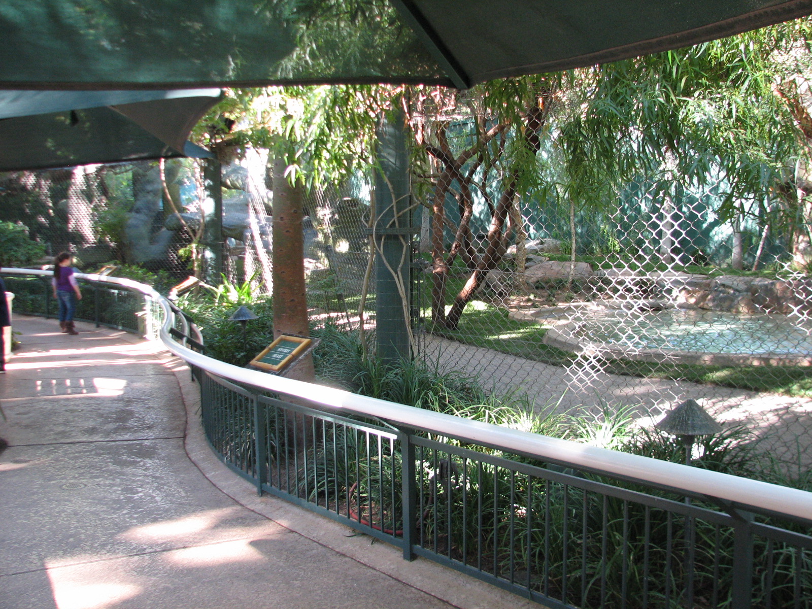 Secret Garden - Lion Exhibit Viewing Area