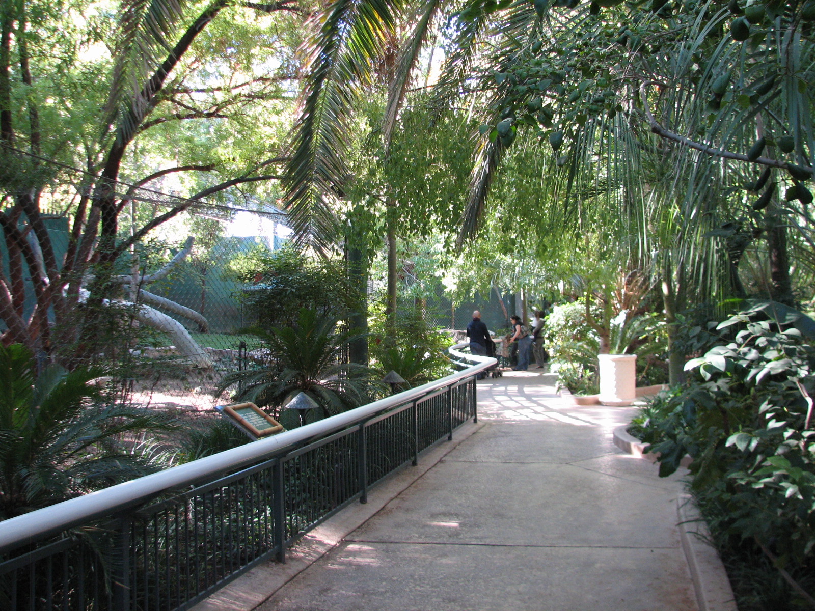 Secret Garden - Tiger Exhibit 1 Viewing Area