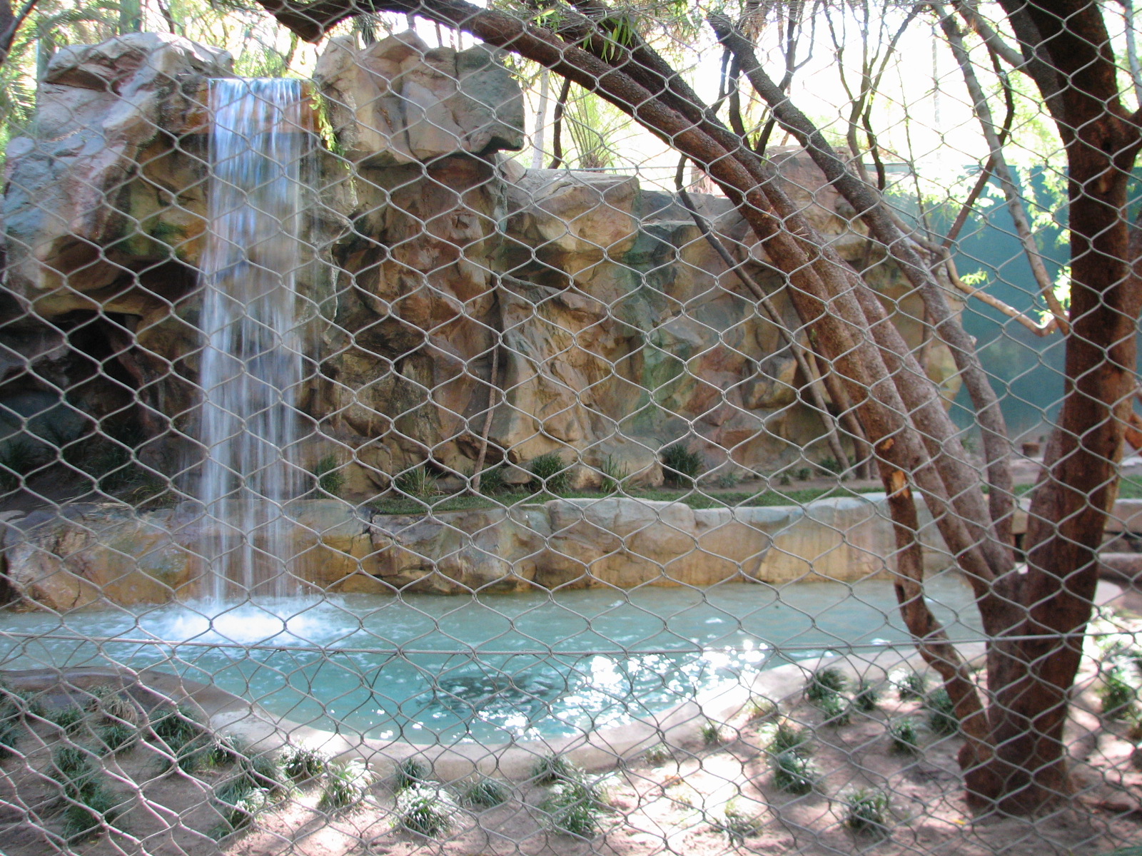 Secret Garden - Tiger Exhibit 1