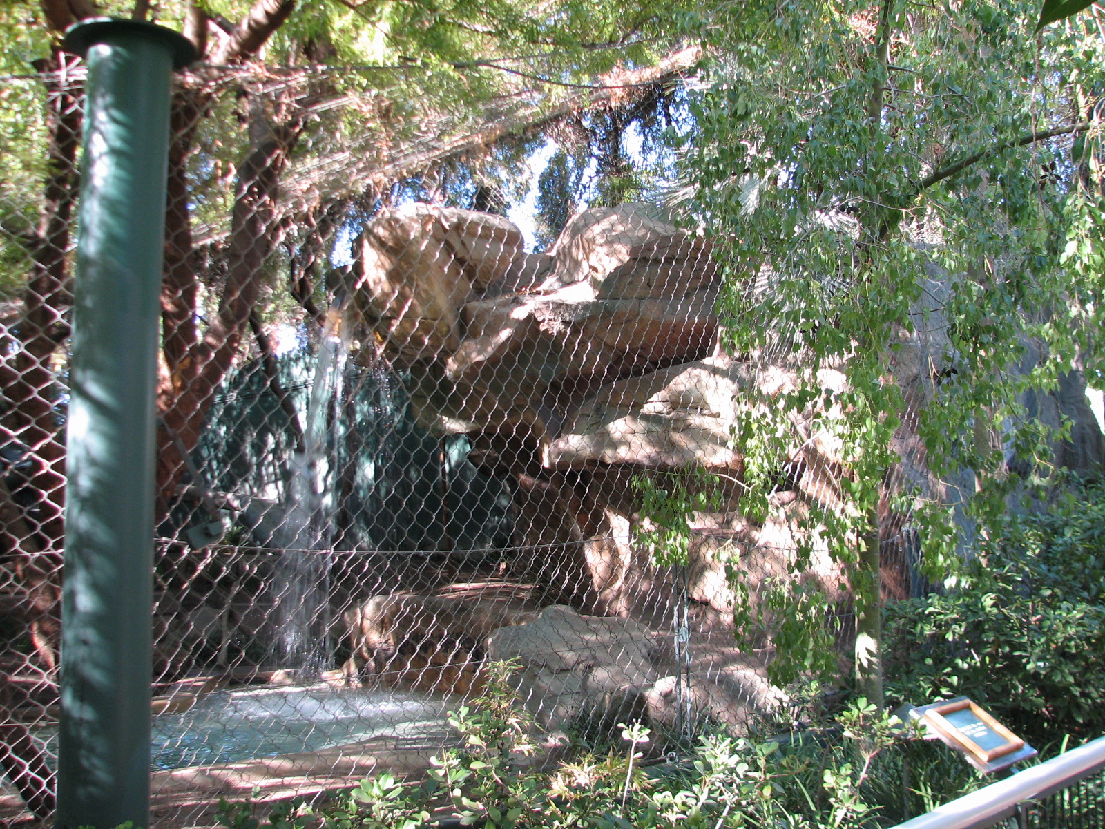 Secret Garden - Tiger Exhibit 4 - 'Striped White Tiger'
