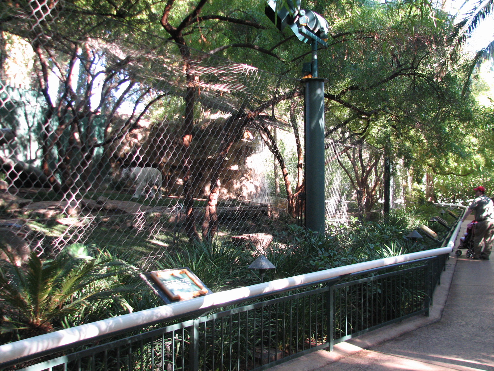 Secret Garden - Tiger Exhibit 4