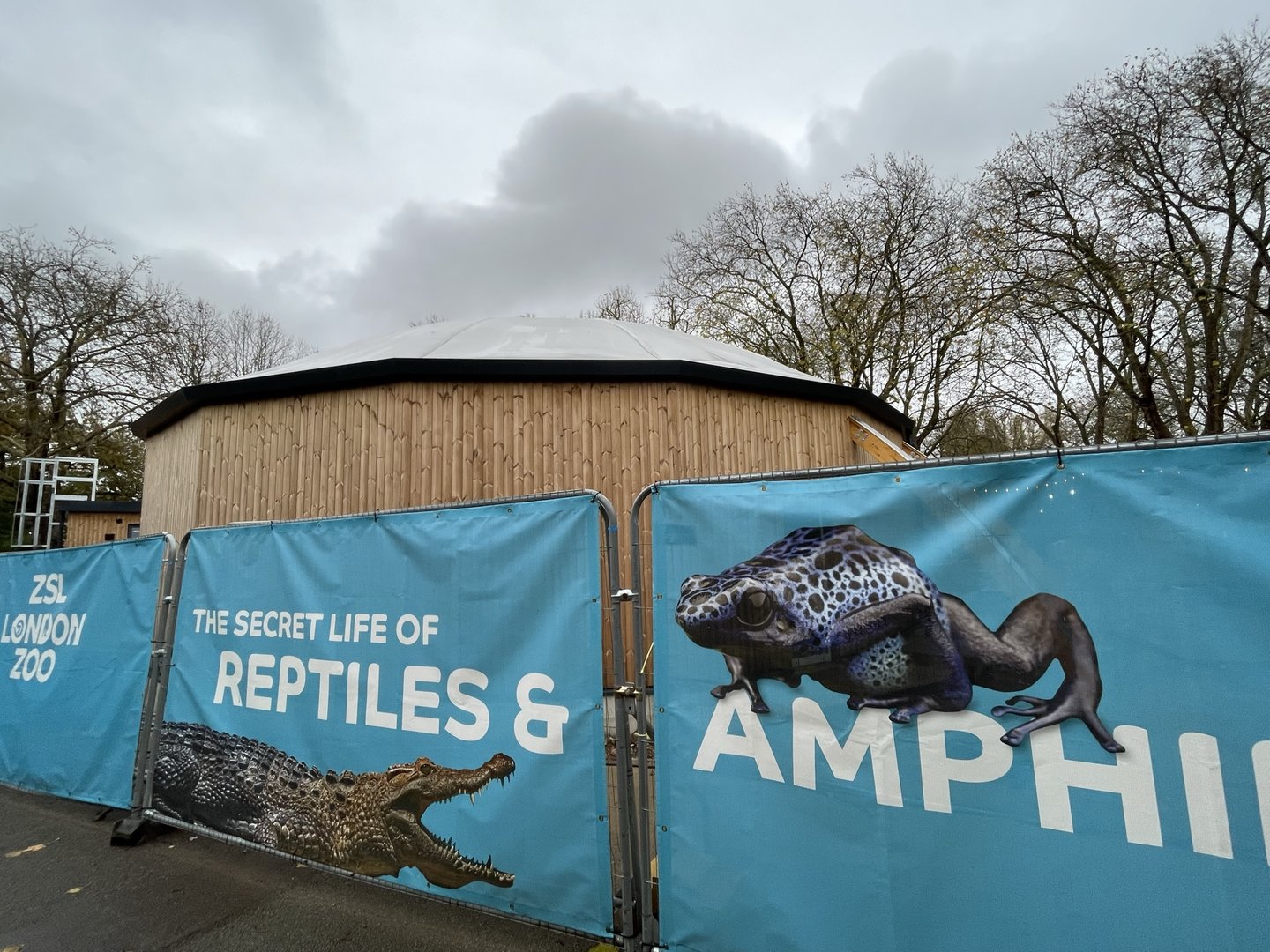 Secret life of reptiles and amphibians construction update