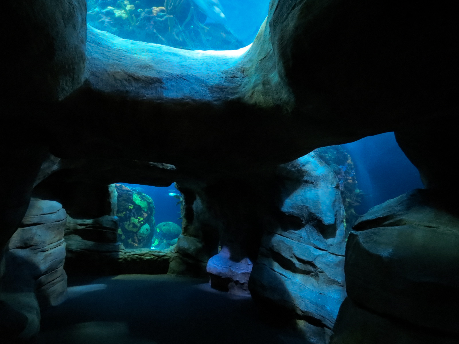Secret Reef - Undersea Cavern