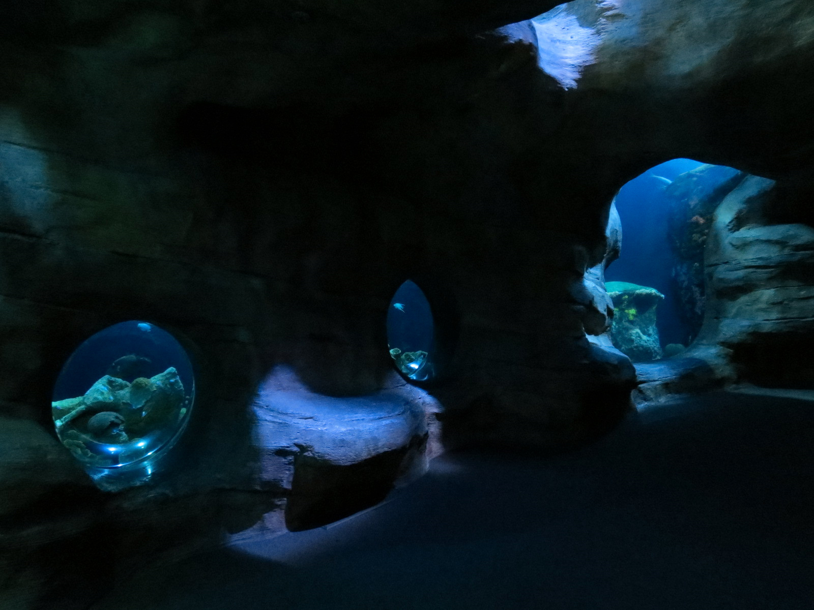 Secret Reef - Undersea Cavern