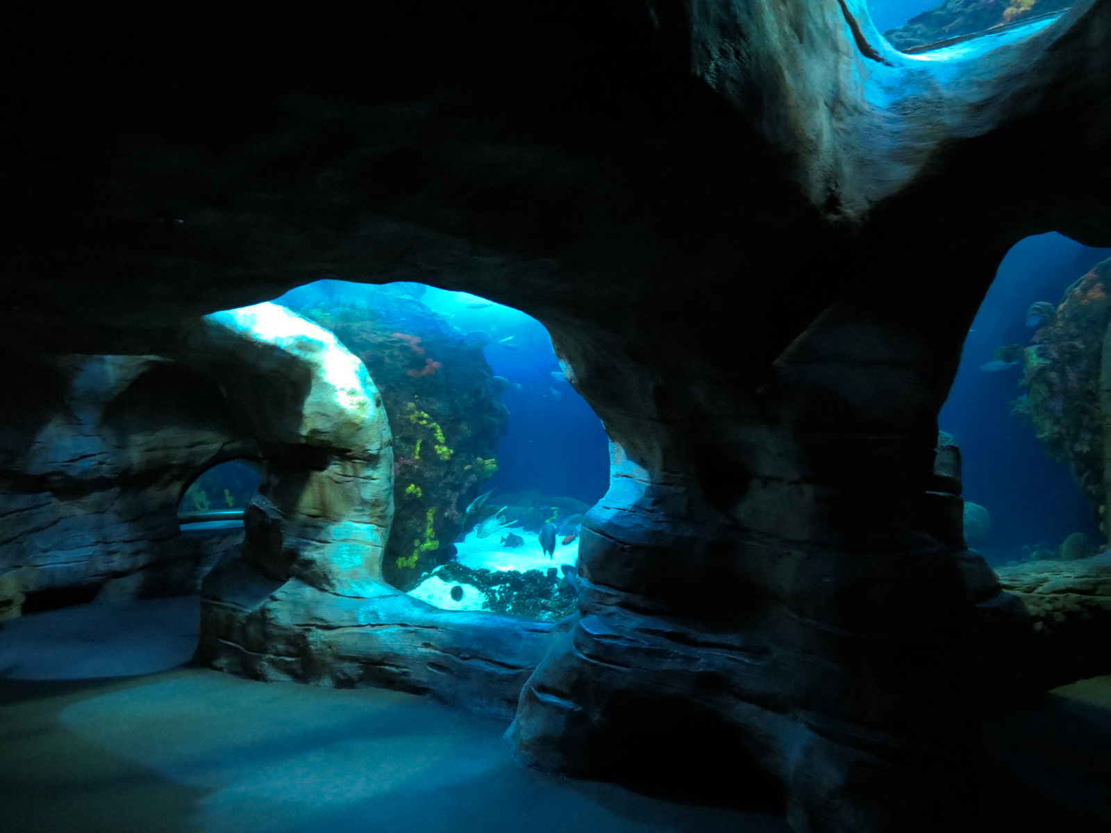 Secret Reef - Undersea Cavern