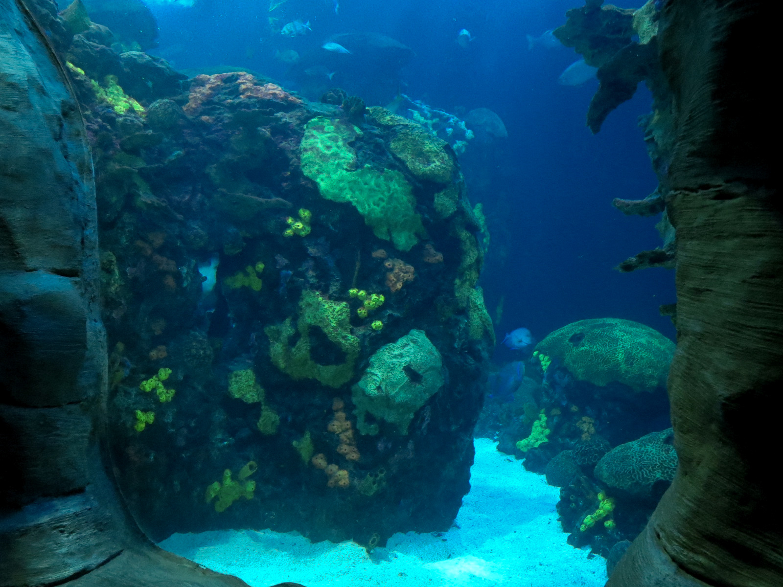 Secret Reef - Undersea Cavern