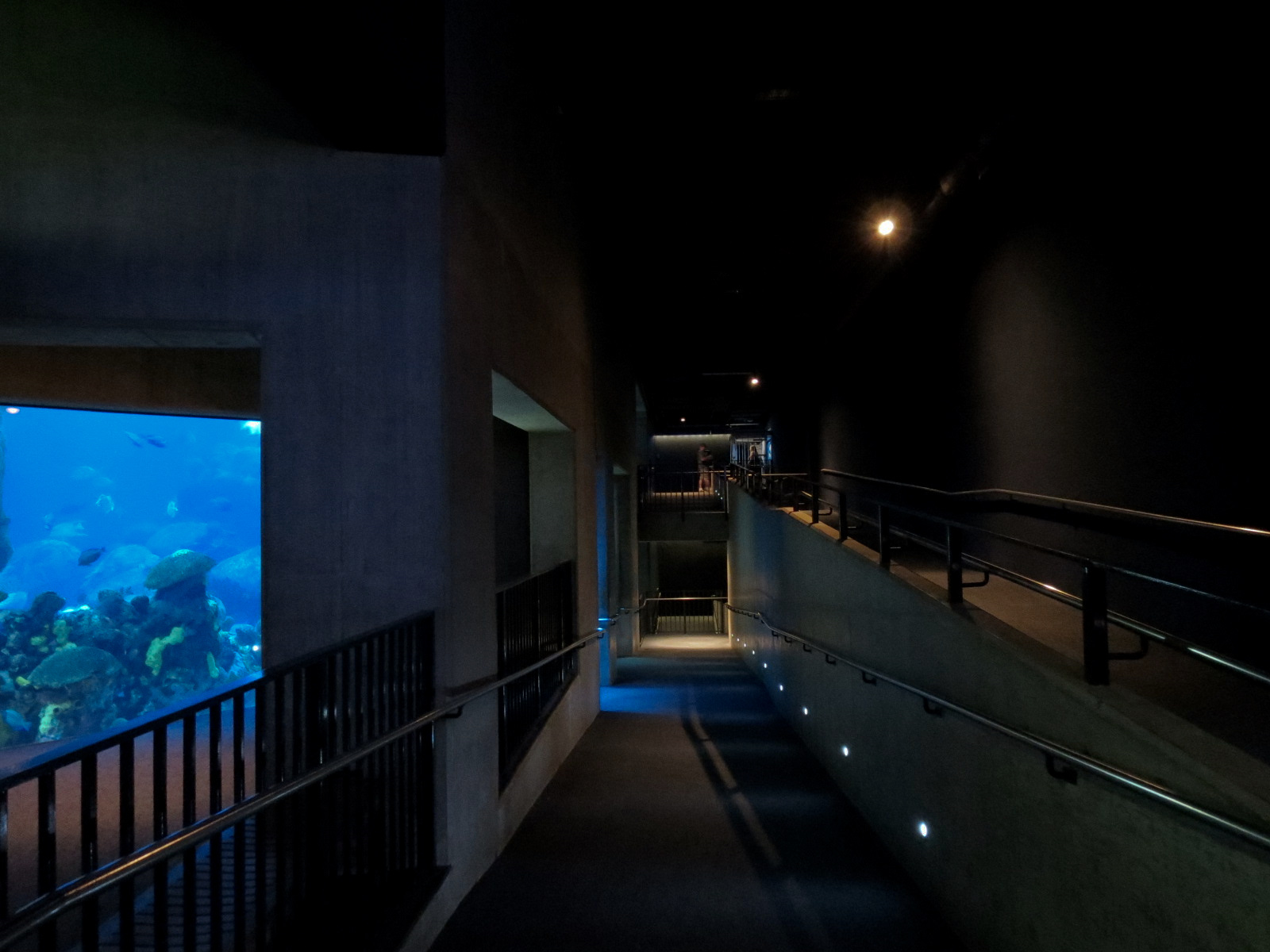 Secret Reef - Visitor Walkway Ramps