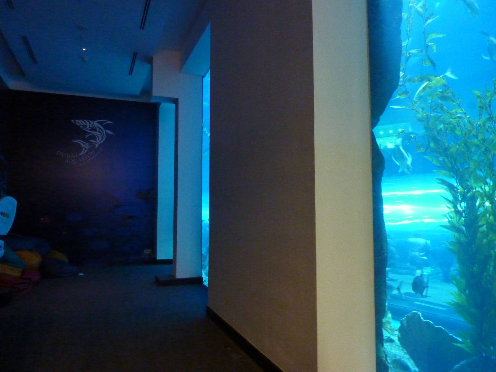 Secret viewing area for main tank