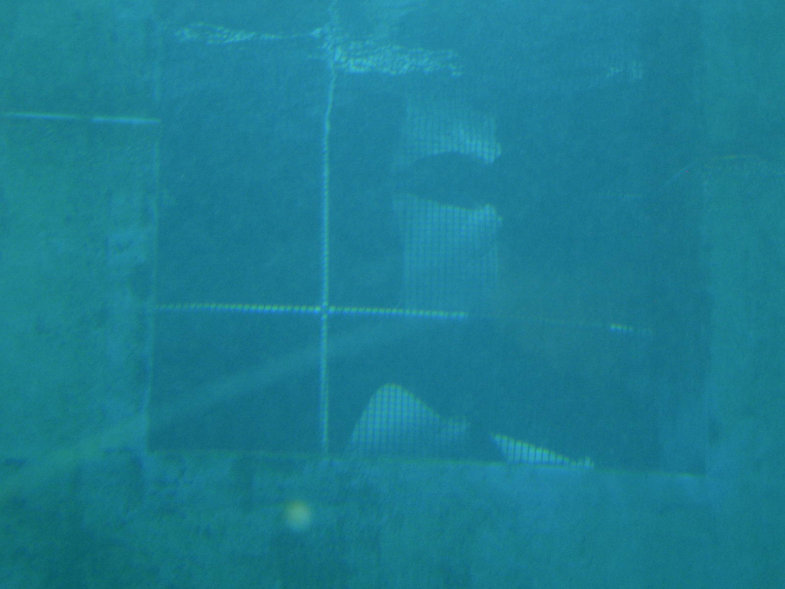 Secret window with stingrays in the sand tiger shark tank