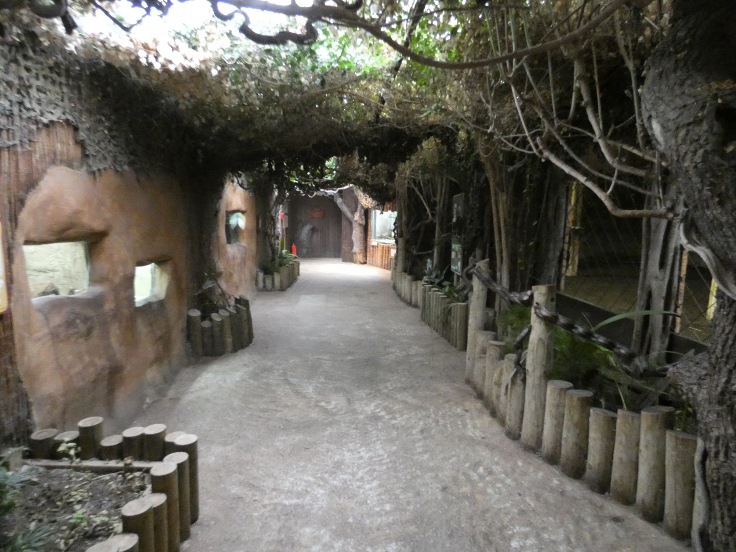 Secret world of the okapi viewing area