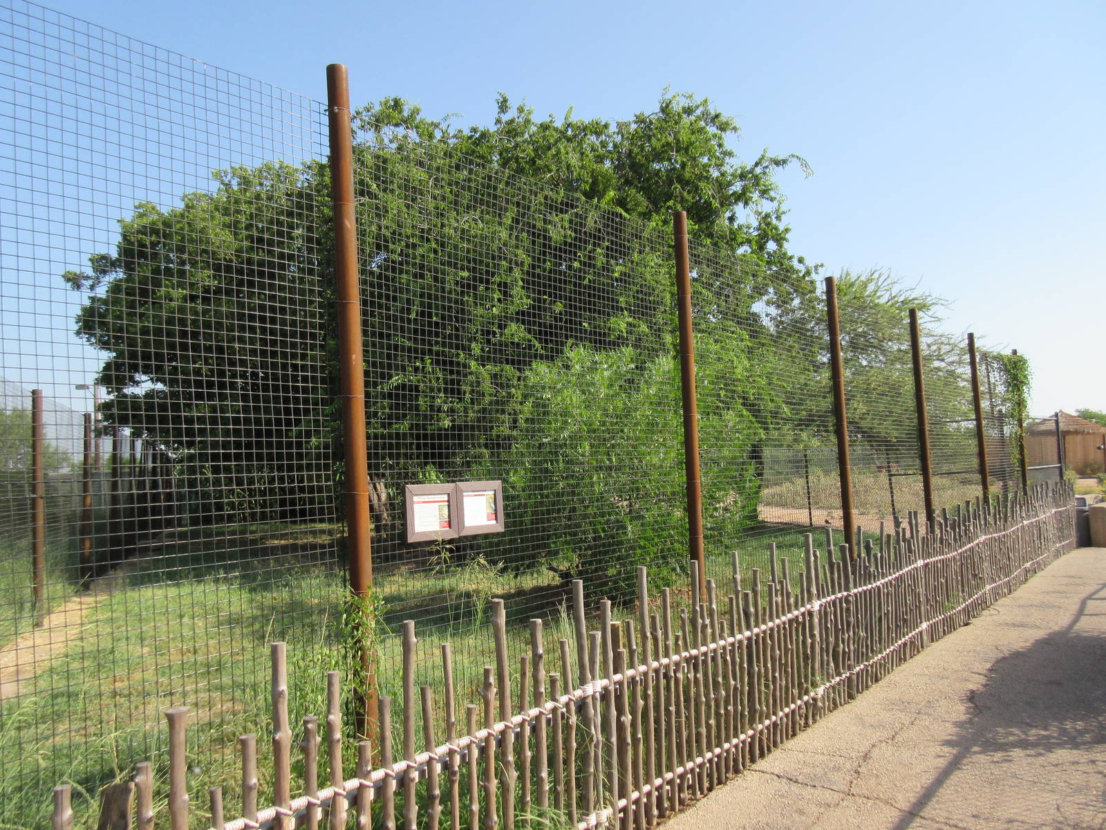 Secretary Bird/African Spurred Tortoise Exhibit