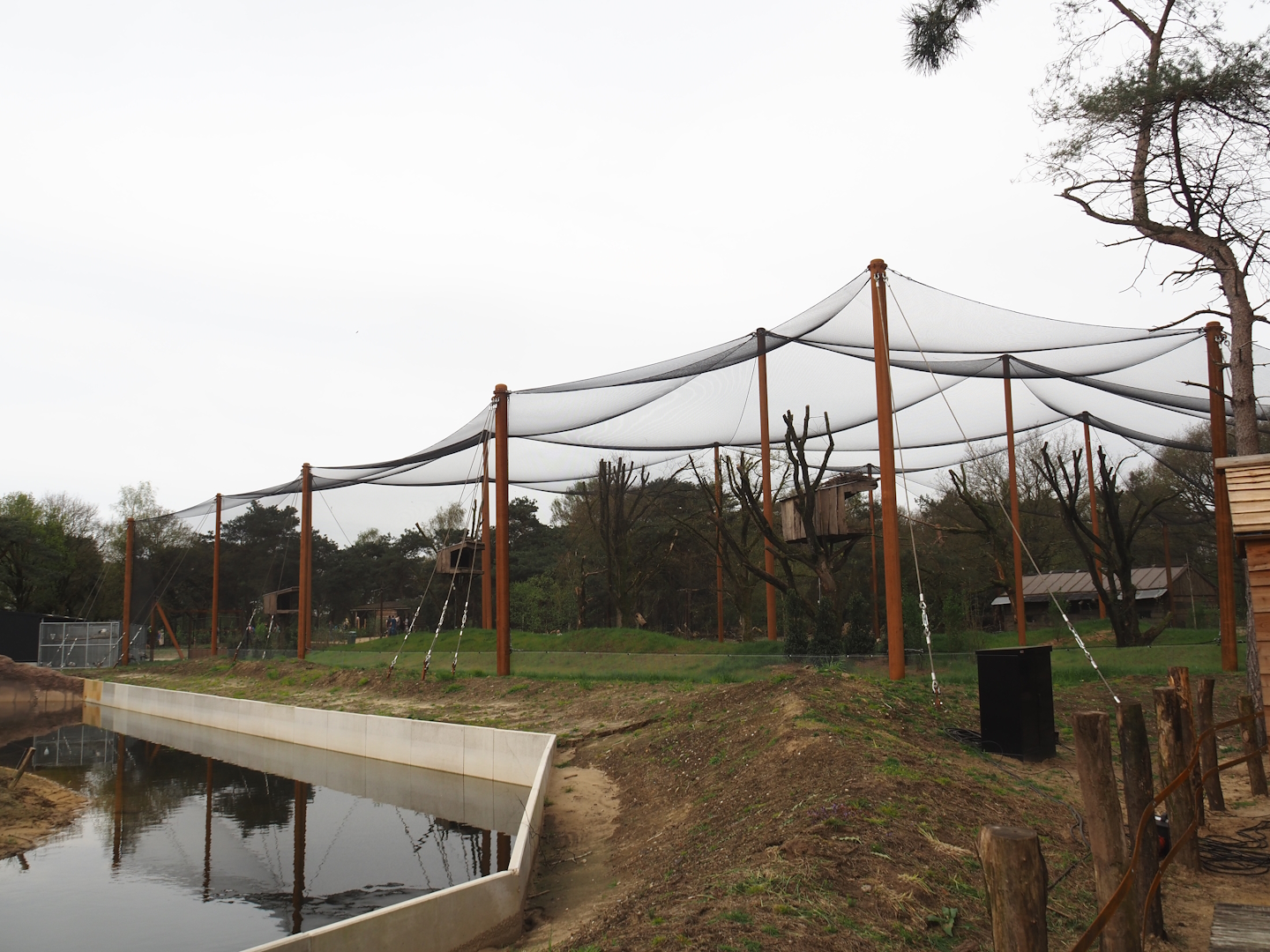 Secretary bird and Rüppell's griffon vulture aviary, 2024-04-06