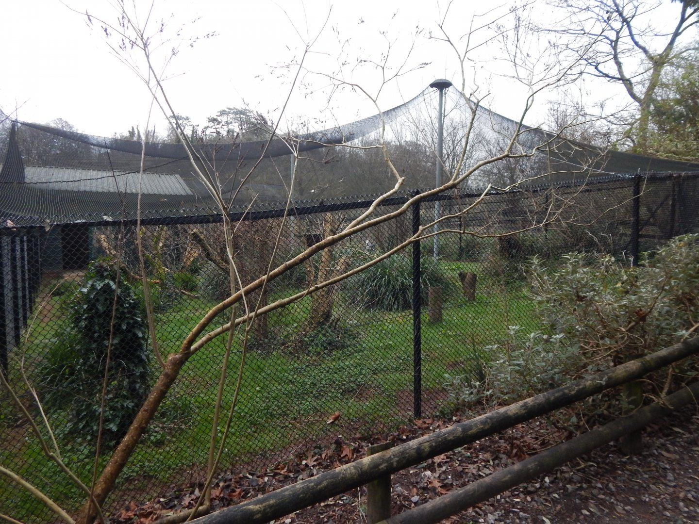 Secretary bird aviary 050224