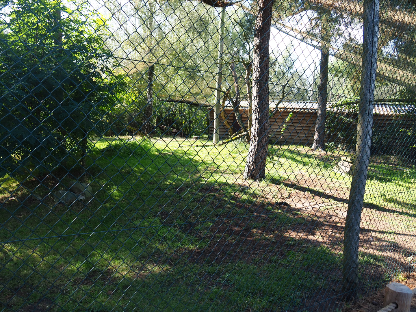 Secretary bird aviary, 2019-09-15