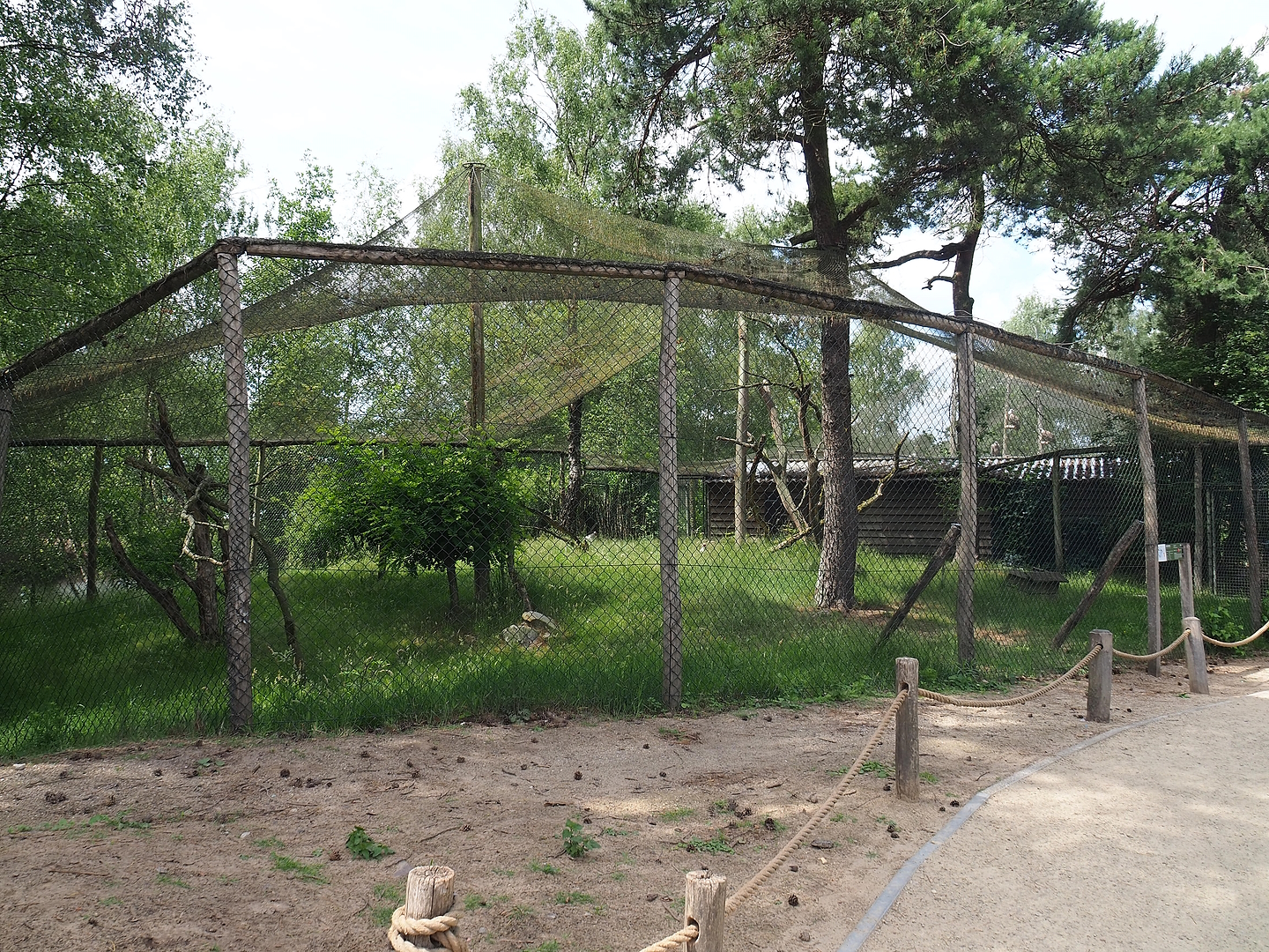 Secretary bird aviary, 2022-06-12