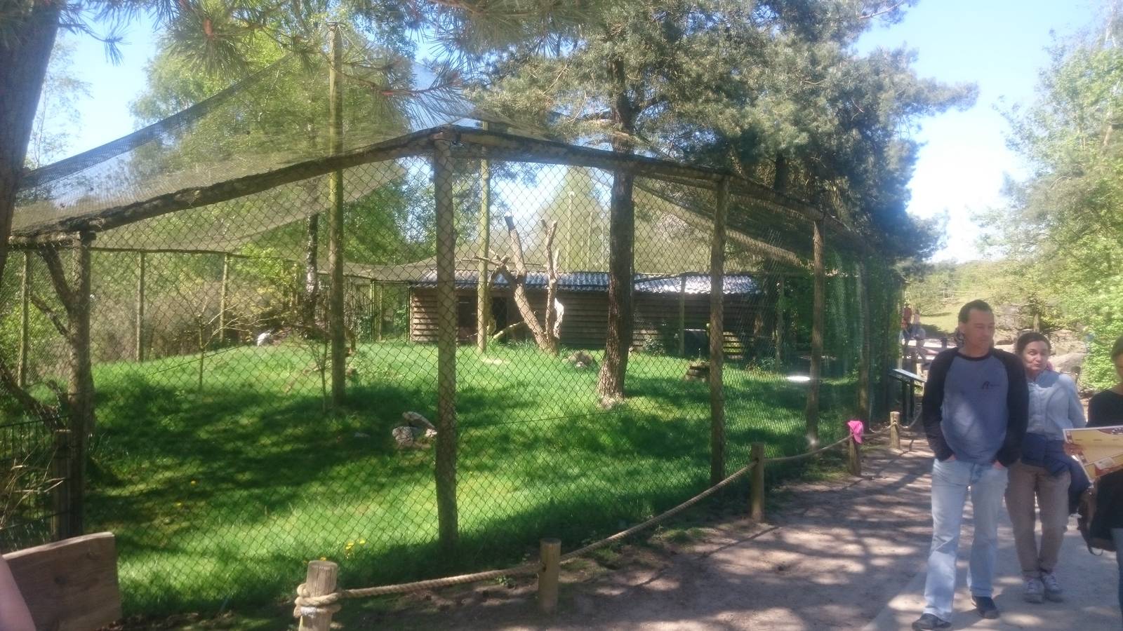 Secretary bird aviary
