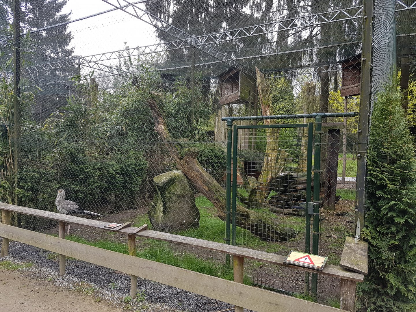 Secretary bird-aviary
