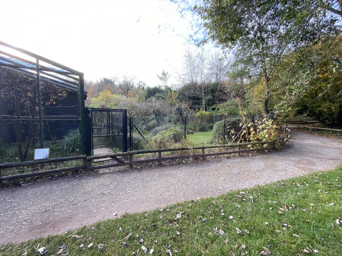 Secretary bird enclosure 201121