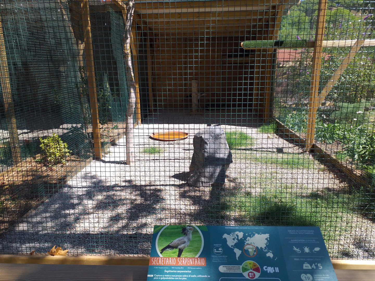 Secretary bird exhibit -Sendaviva (2020)