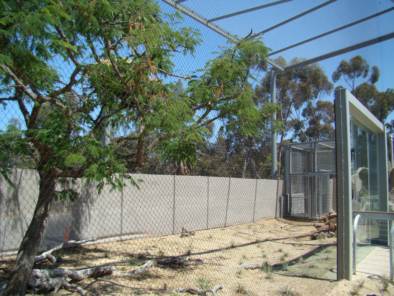 Secretary Bird exhibit