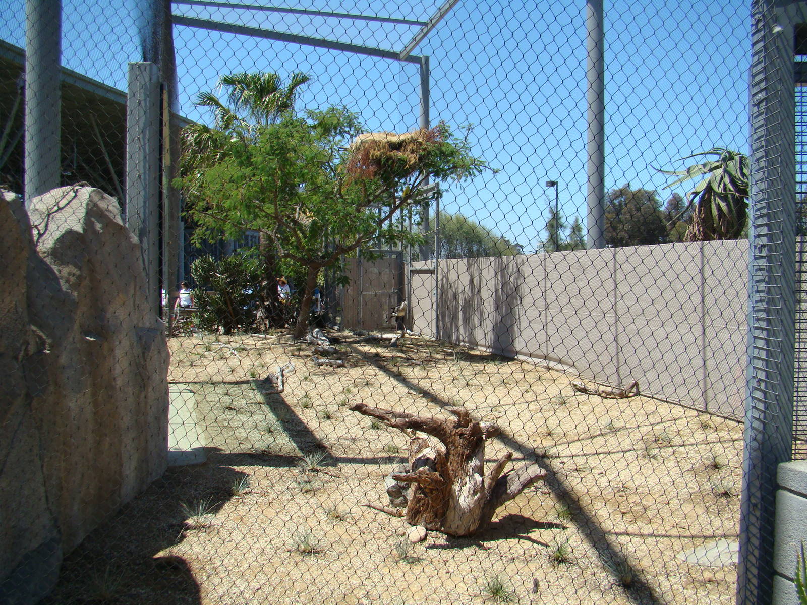 Secretary Bird exhibit