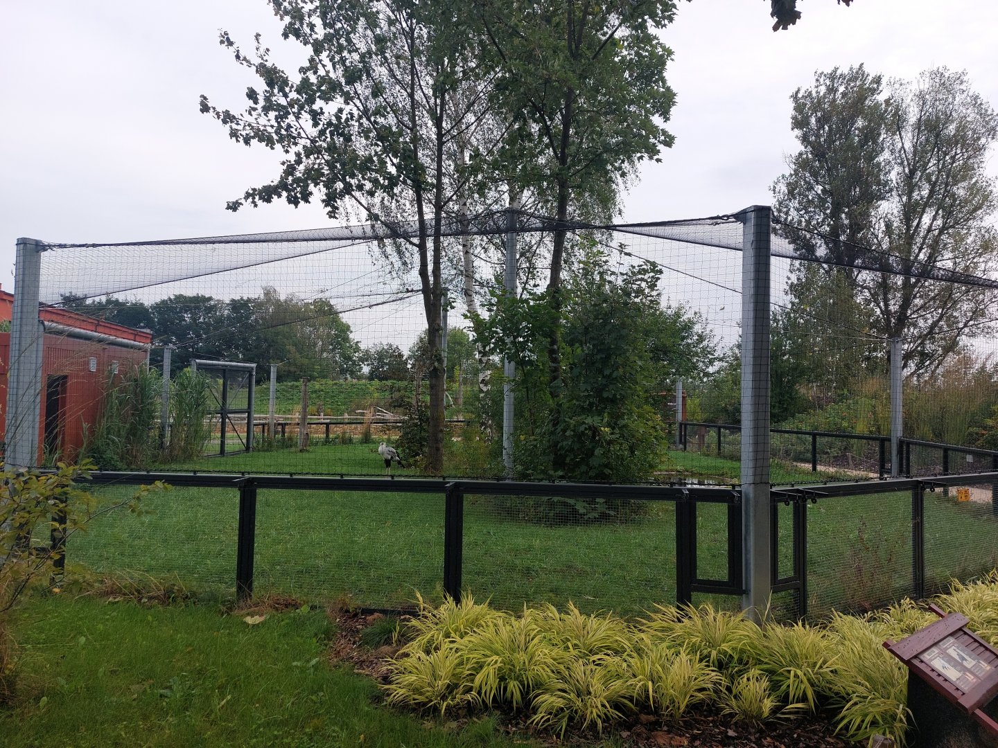 Secretary bird & ground hornbill aviary