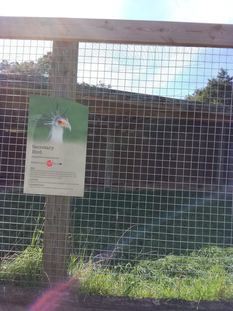Secretary bird signage