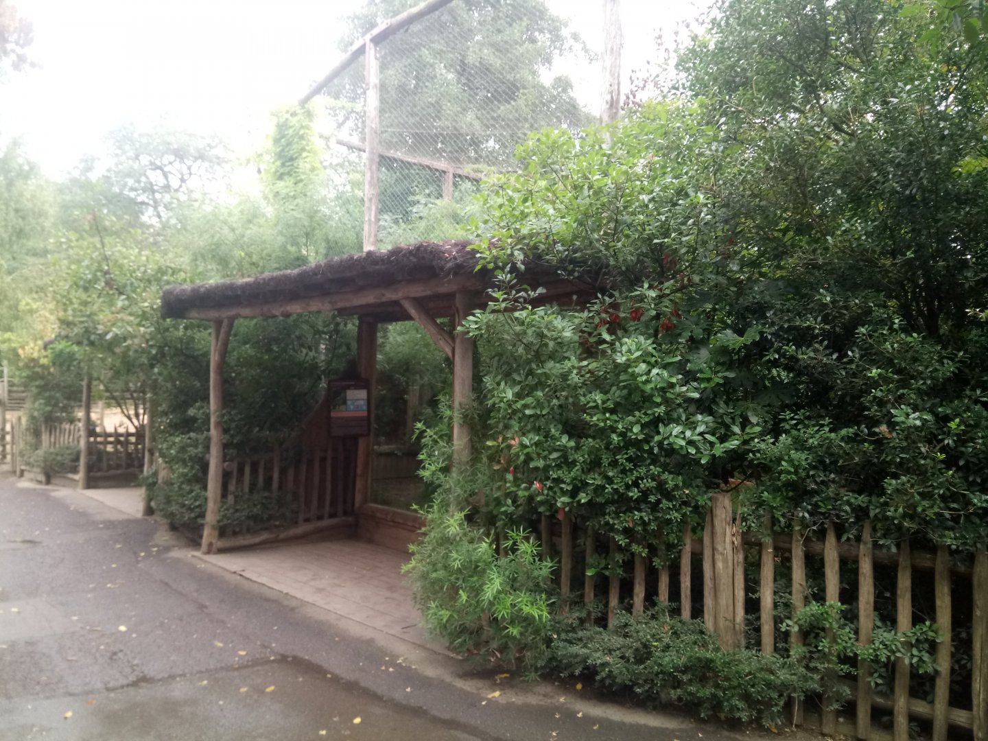 Secretary Birds Aviary