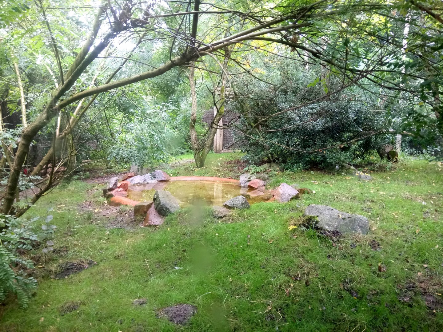 Secretary Birds Aviary