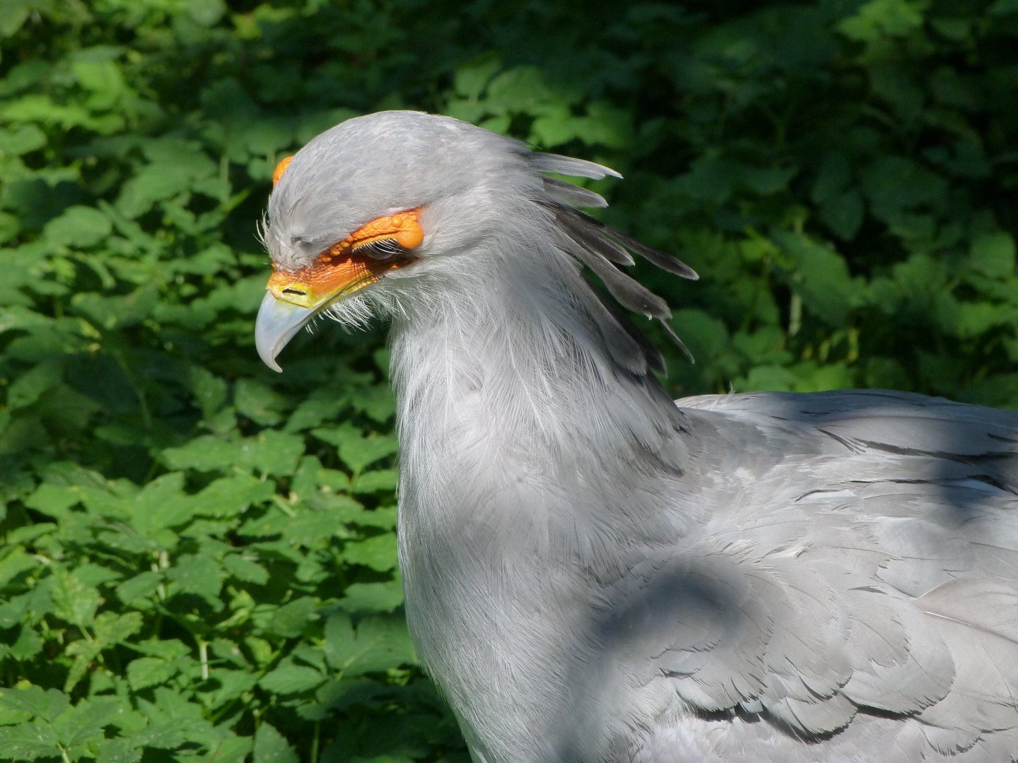 Secretary -Zoo Praha (2025)