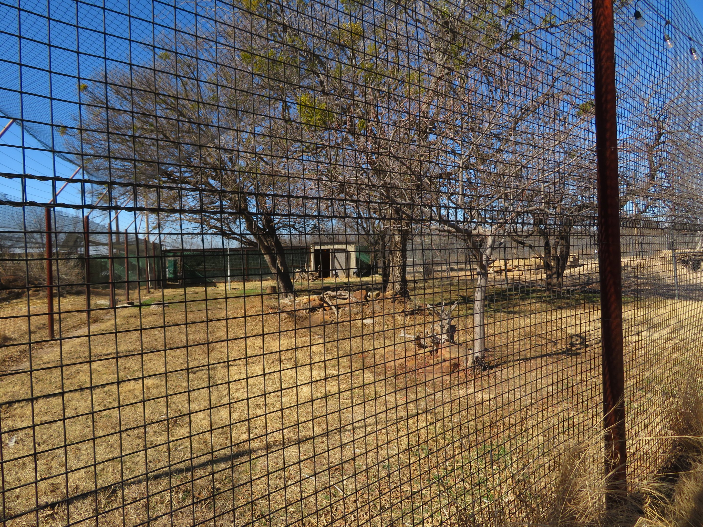 Secretarybird Yard