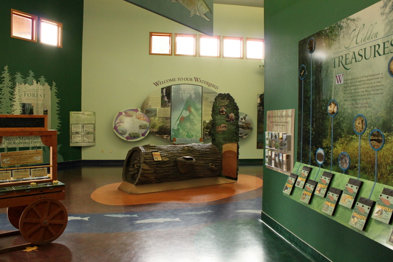 Secrets of the Forest