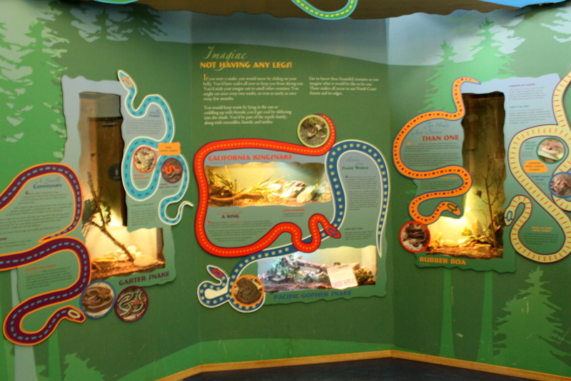 Secrets of the Forest