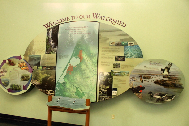 Secrets of the Forest