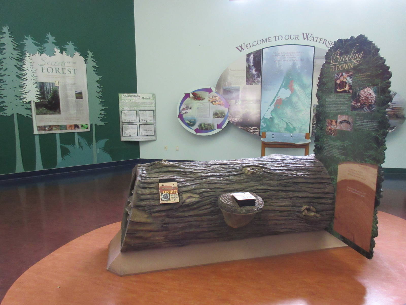 Secrets of the Forest