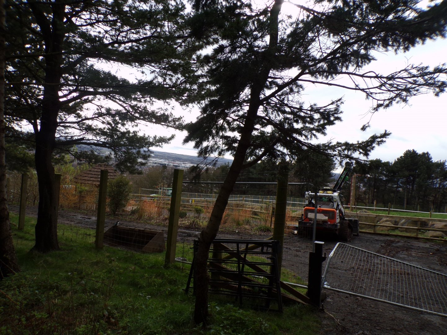 Section of giraffe enclosure closed off 9.4.24