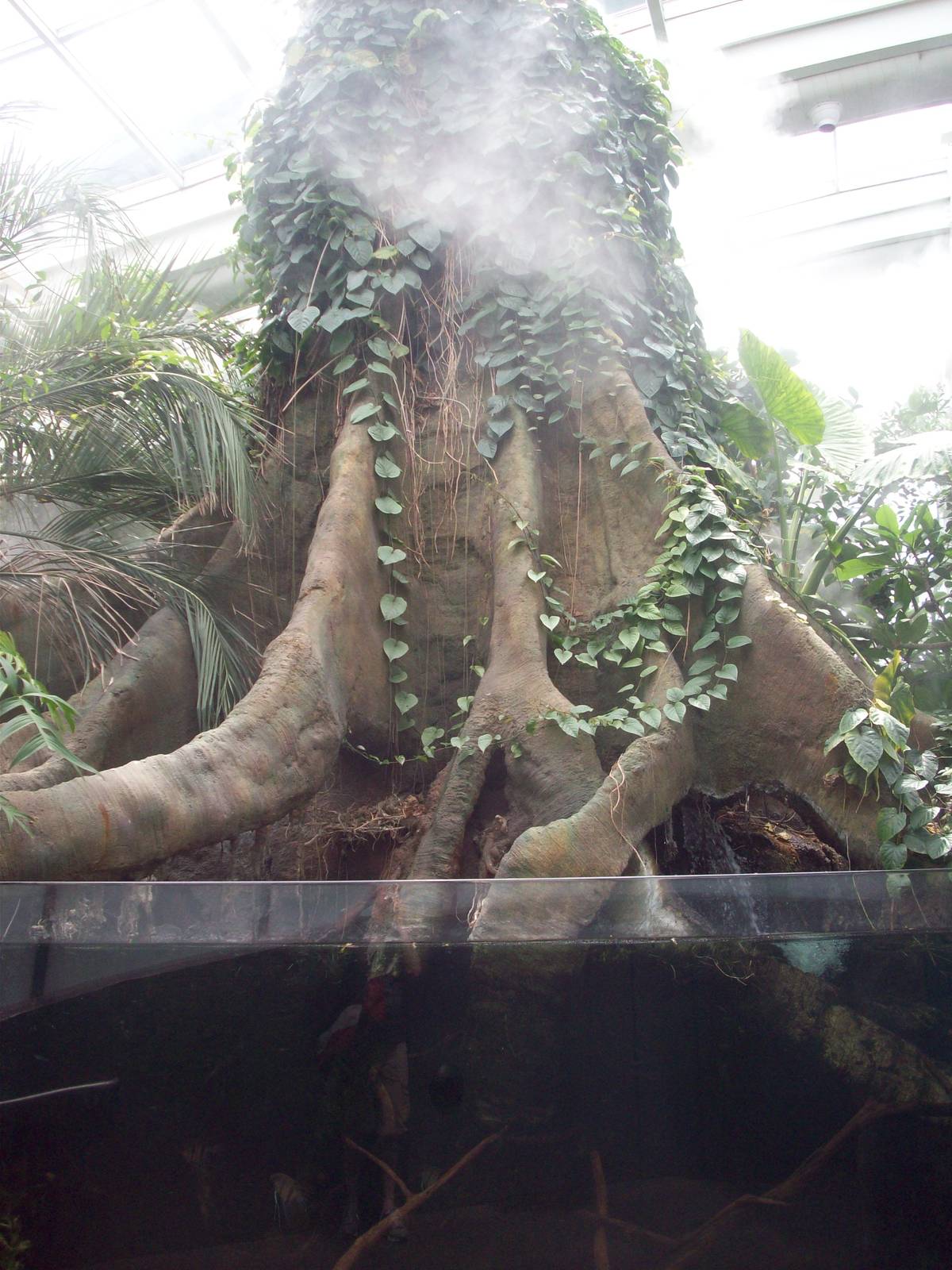 Section of the PPG Aquarium.