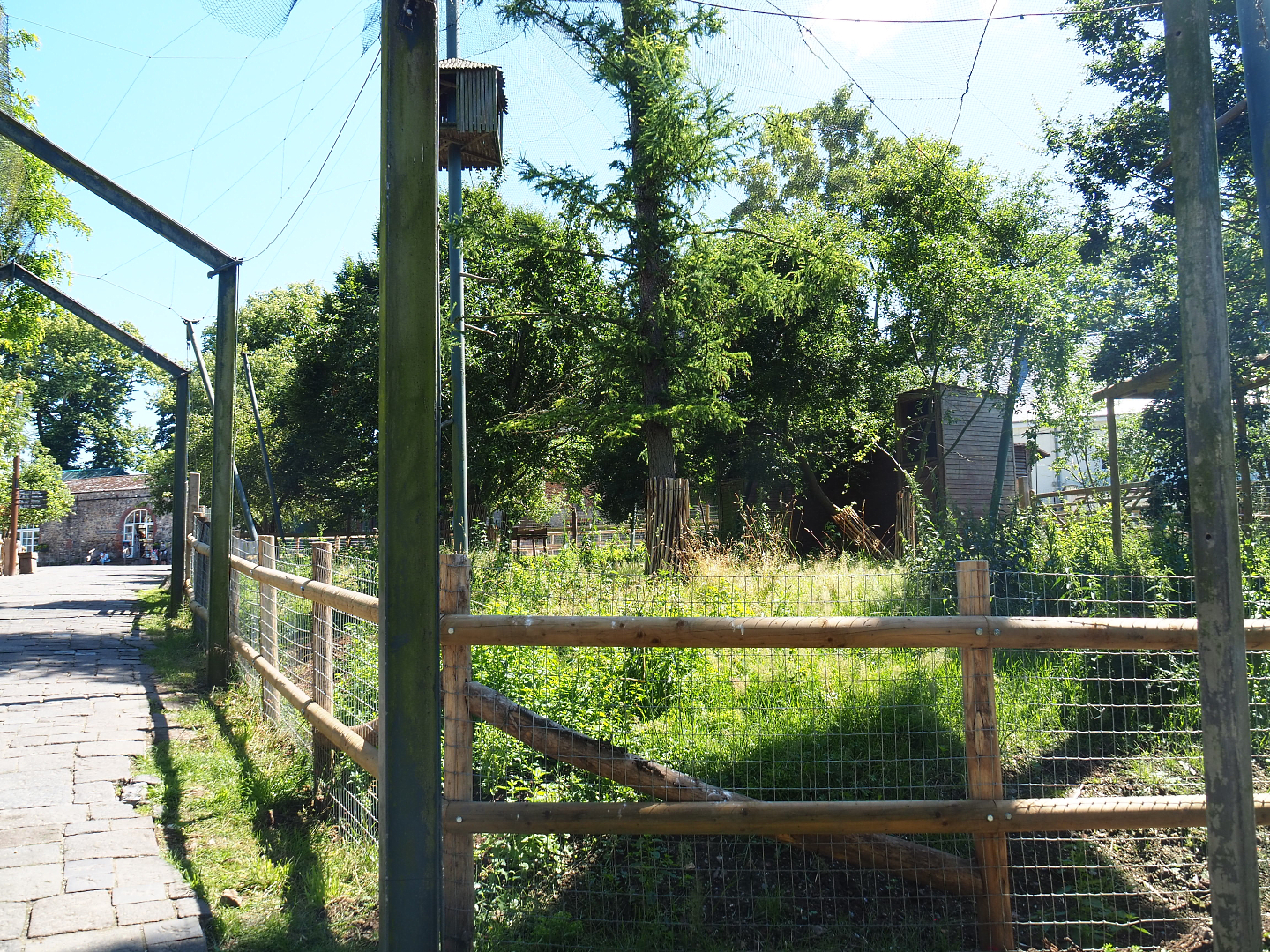 Section of the raptor village demolished for expansion of the farm area, 2022-06-28