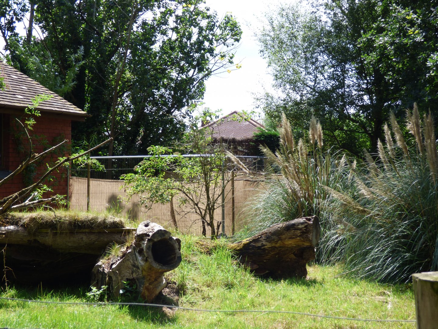 Sectioned off part of Agouti enclosure (Former Giant Anteater and Kangaroo)