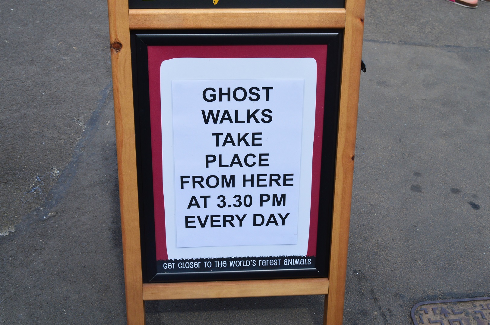 See a ghost at 3.30 in the afternoon