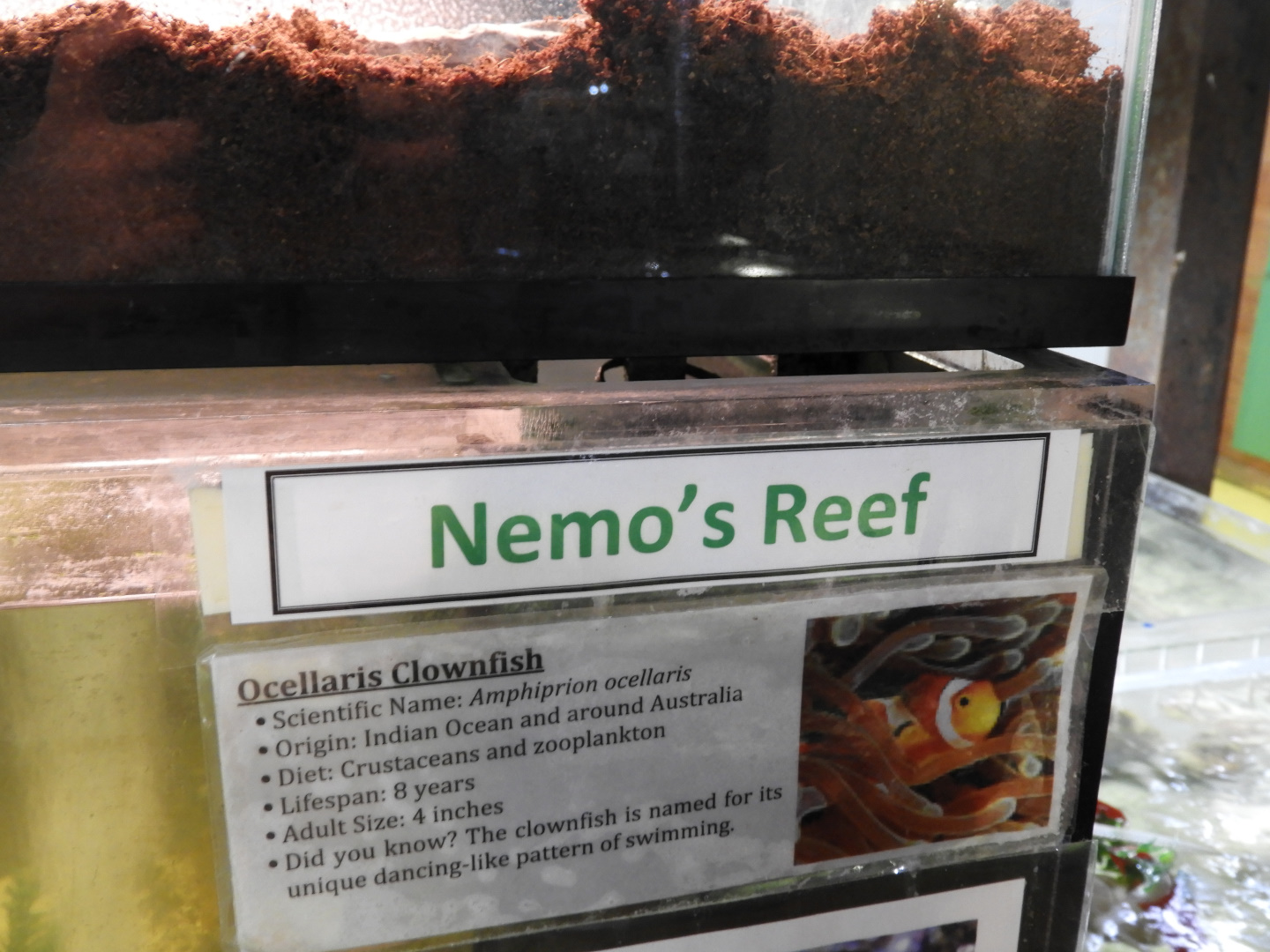 See the sign and cringe...