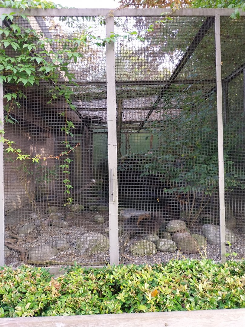 Seebach Volière - Grouse aviary