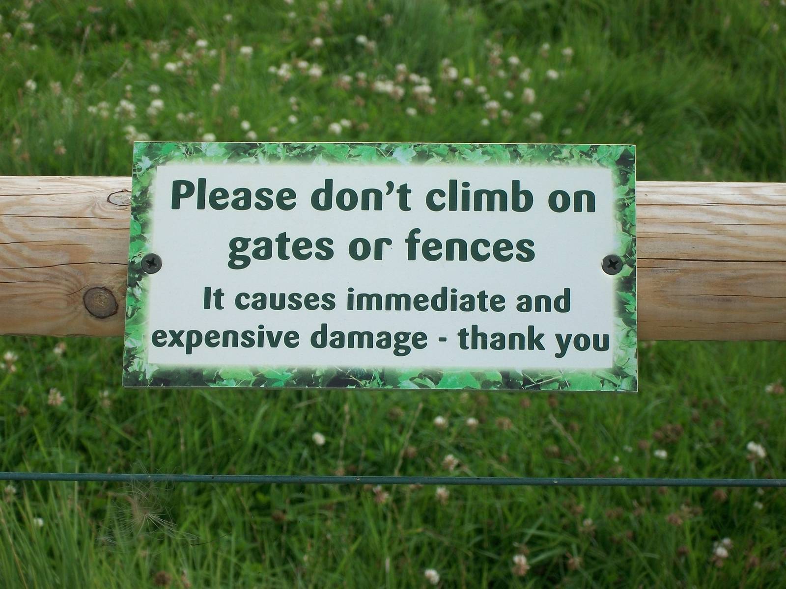 Seeking to protect the new railings.....and more, 24th July 2014